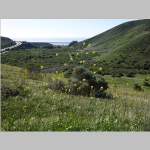 20150308-357.JPG