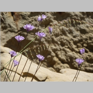 20150308-571.JPG