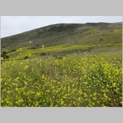 20180512-272.JPG