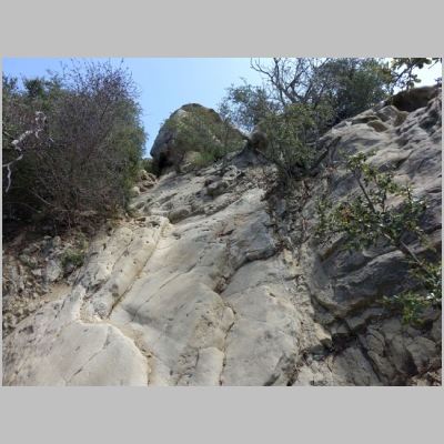 20180512-403.JPG