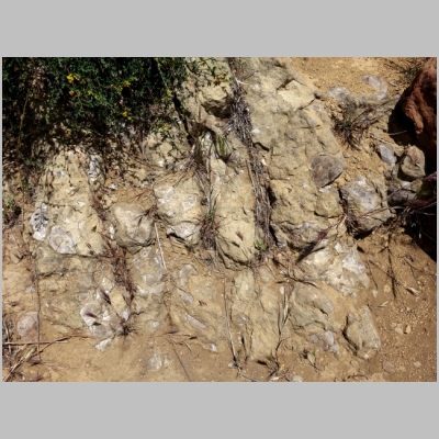 20180512-442.JPG