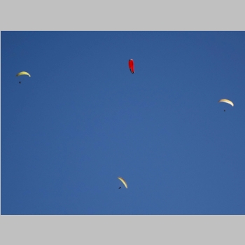 20151121-170.JPG