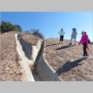 20131027-134.JPG