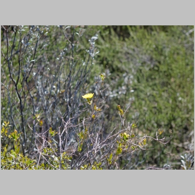 20190317-145.JPG