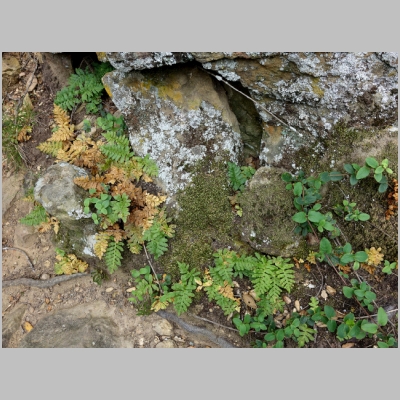 20190505-357.JPG