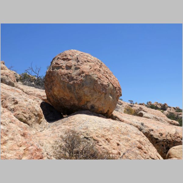 20220710-152-P.JPG