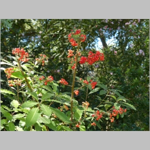 20120930-163.JPG