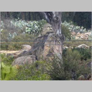 20130428-117.JPG