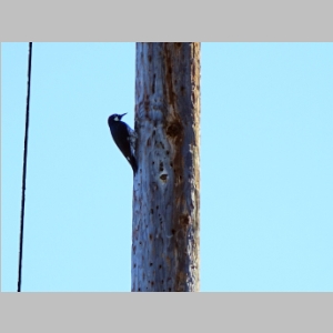 20141102-126.JPG