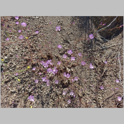 20160619-043.JPG