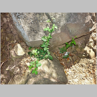 20190714-065.JPG