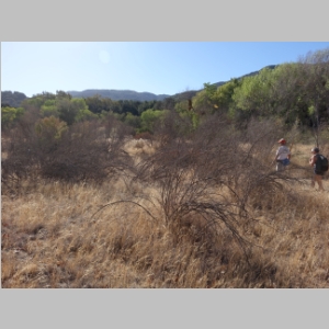 20141026-037.JPG