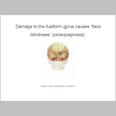 Slide035.PNG
