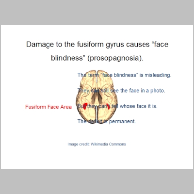 Slide036.PNG