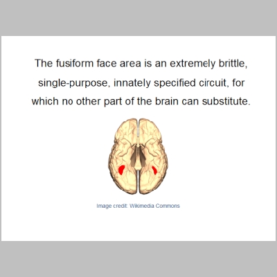 Slide041.PNG