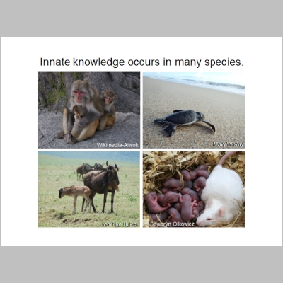 Slide088.PNG