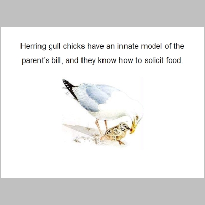 Slide090.PNG