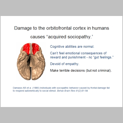 Slide117.PNG