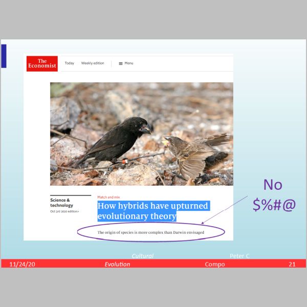 slide-21.png