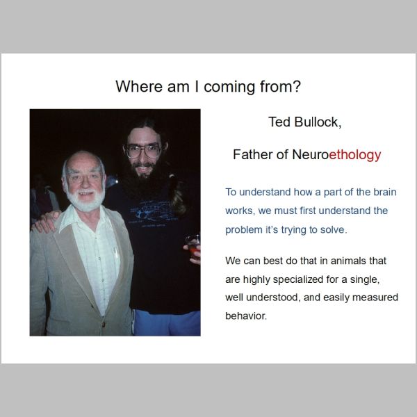 slide-011.jpg