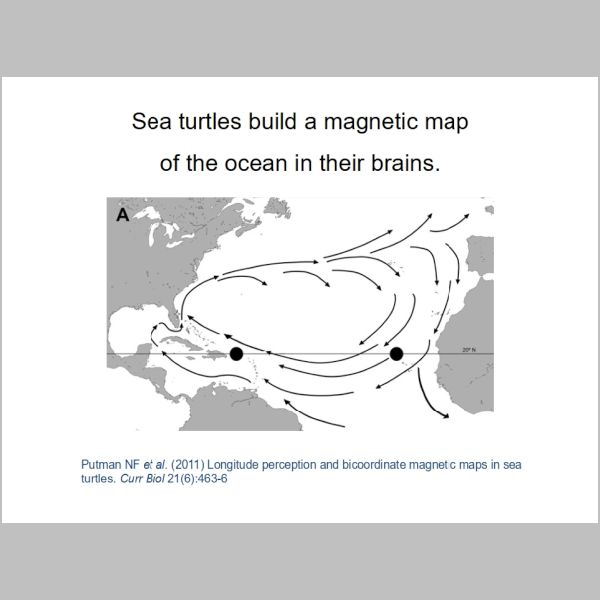 slide-025.jpg