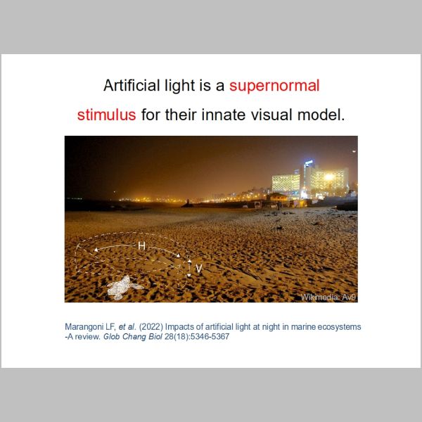 slide-028.jpg