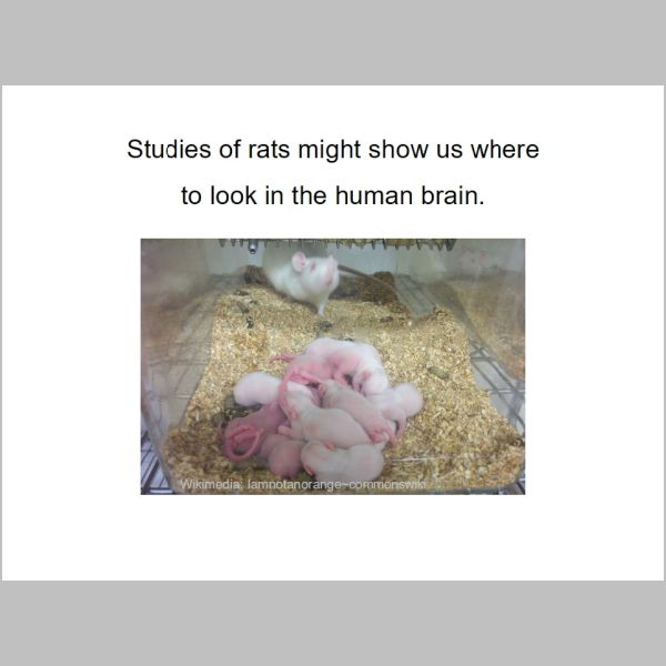 slide-063.jpg
