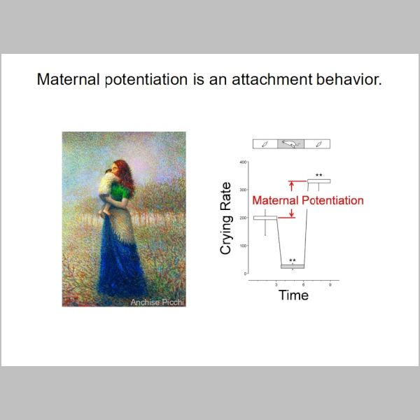 slide-084.jpg