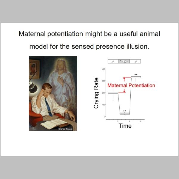 slide-085.jpg
