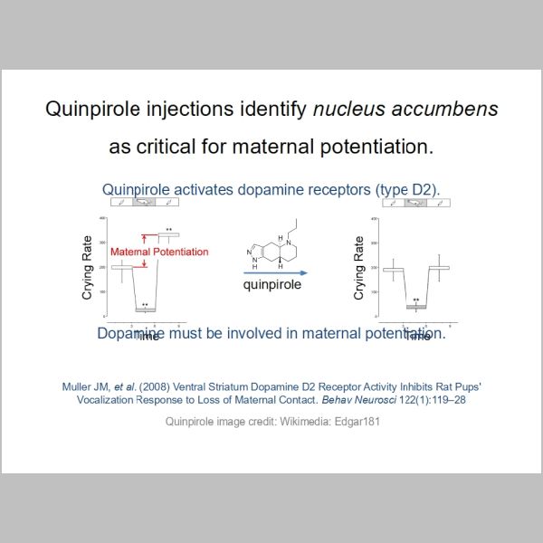 slide-089.jpg