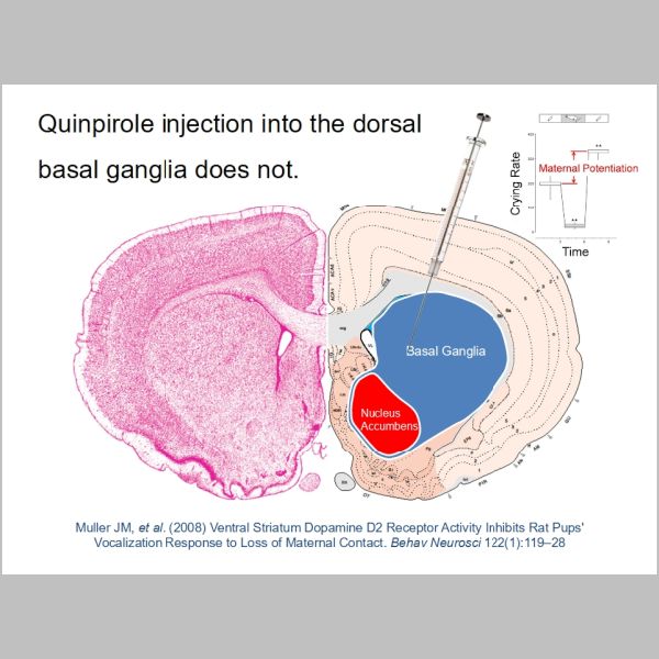 slide-094.jpg