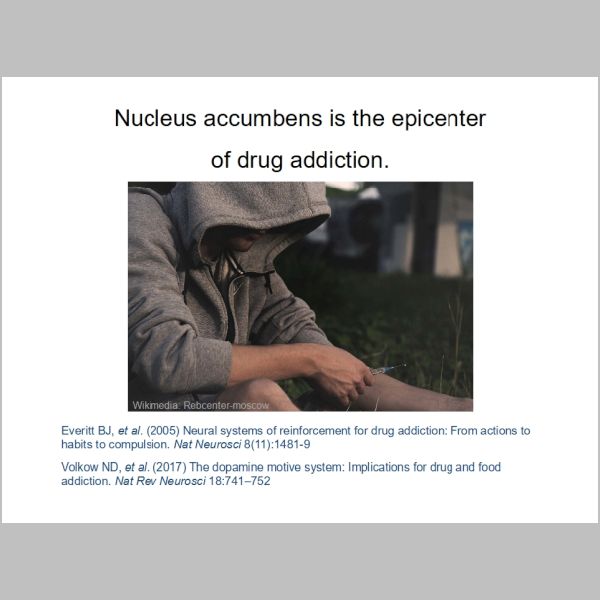 slide-111.jpg