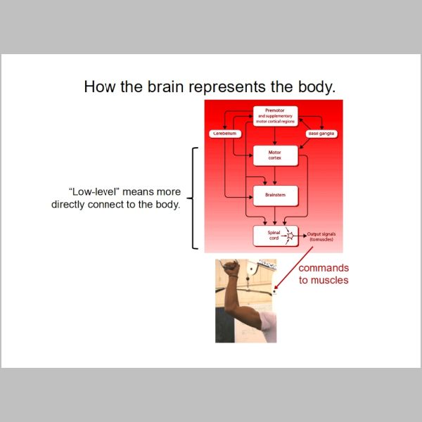 slide-204.jpg