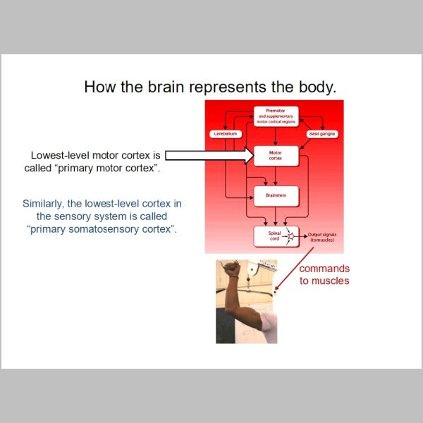 slide-206.jpg