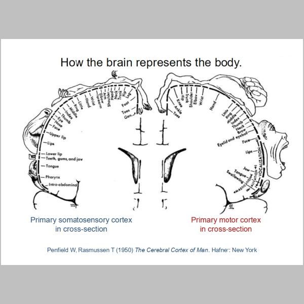 slide-209.jpg