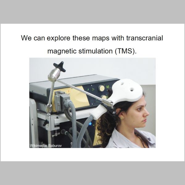 slide-210.jpg