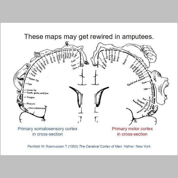 slide-211.jpg