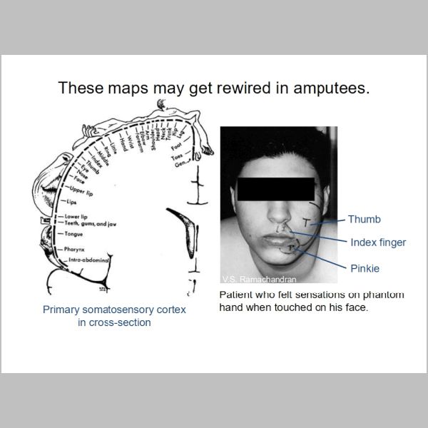 slide-212.jpg