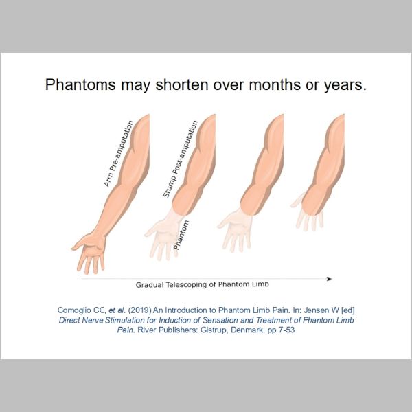 slide-213.jpg