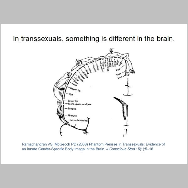 slide-223.jpg