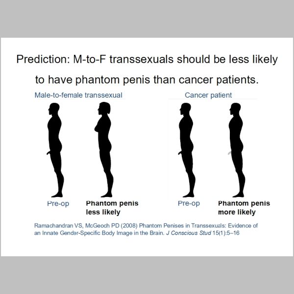 slide-226.jpg