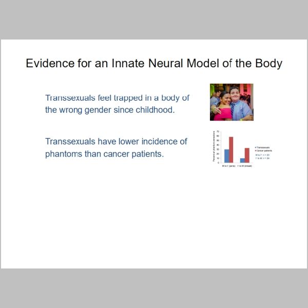 slide-228.jpg