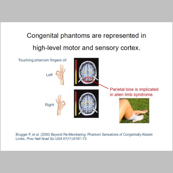 slide-244.jpg