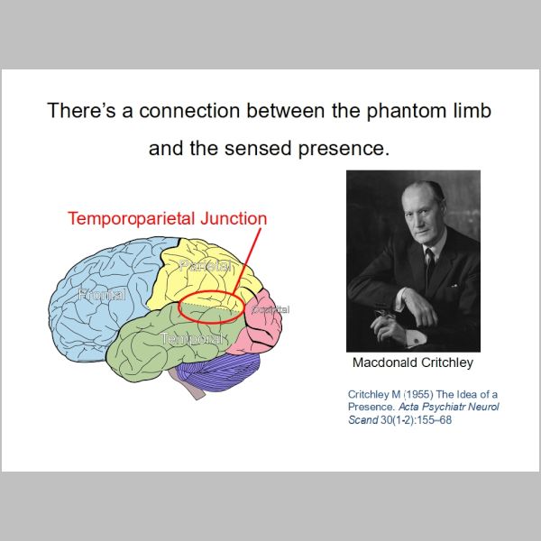 slide-254.jpg