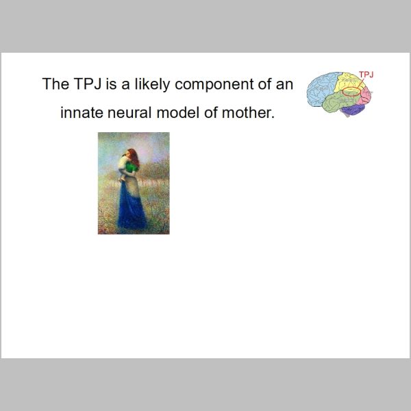 slide-263.jpg