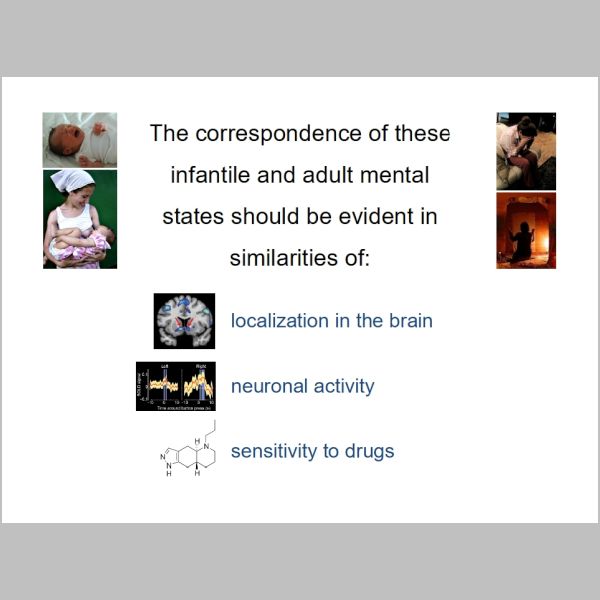 slide-278.jpg