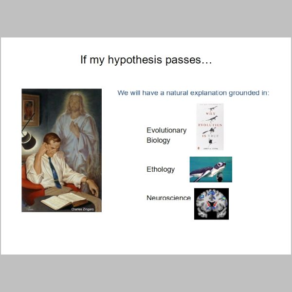 slide-289.jpg