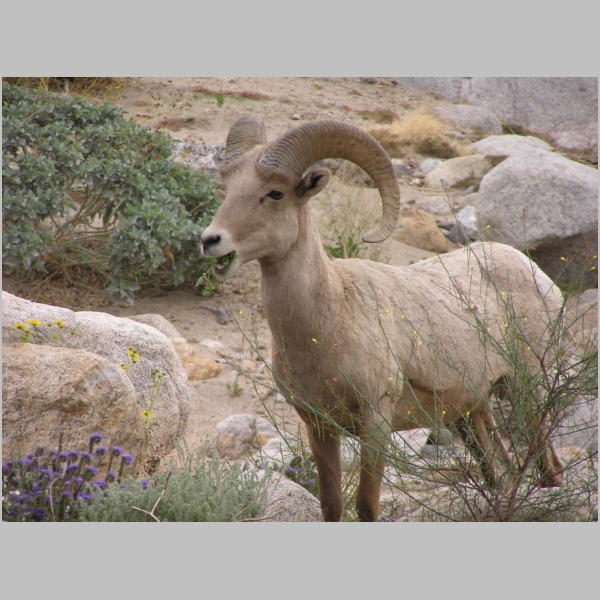 P3310075.JPG