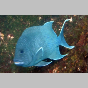 20120806-100-UW.JPG