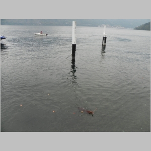 2010-1009-092.JPG